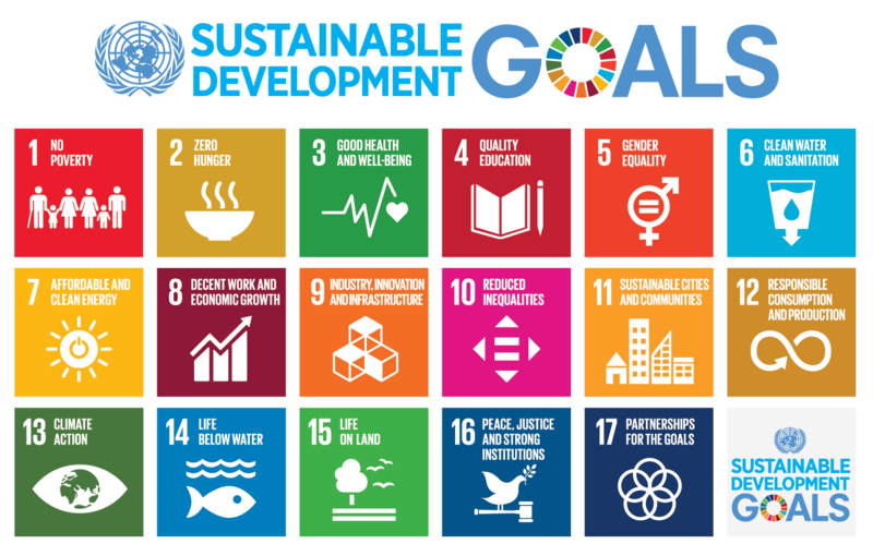 17 Obiettivi dello Sviluppo Sostenibile dell'Agenda 2030