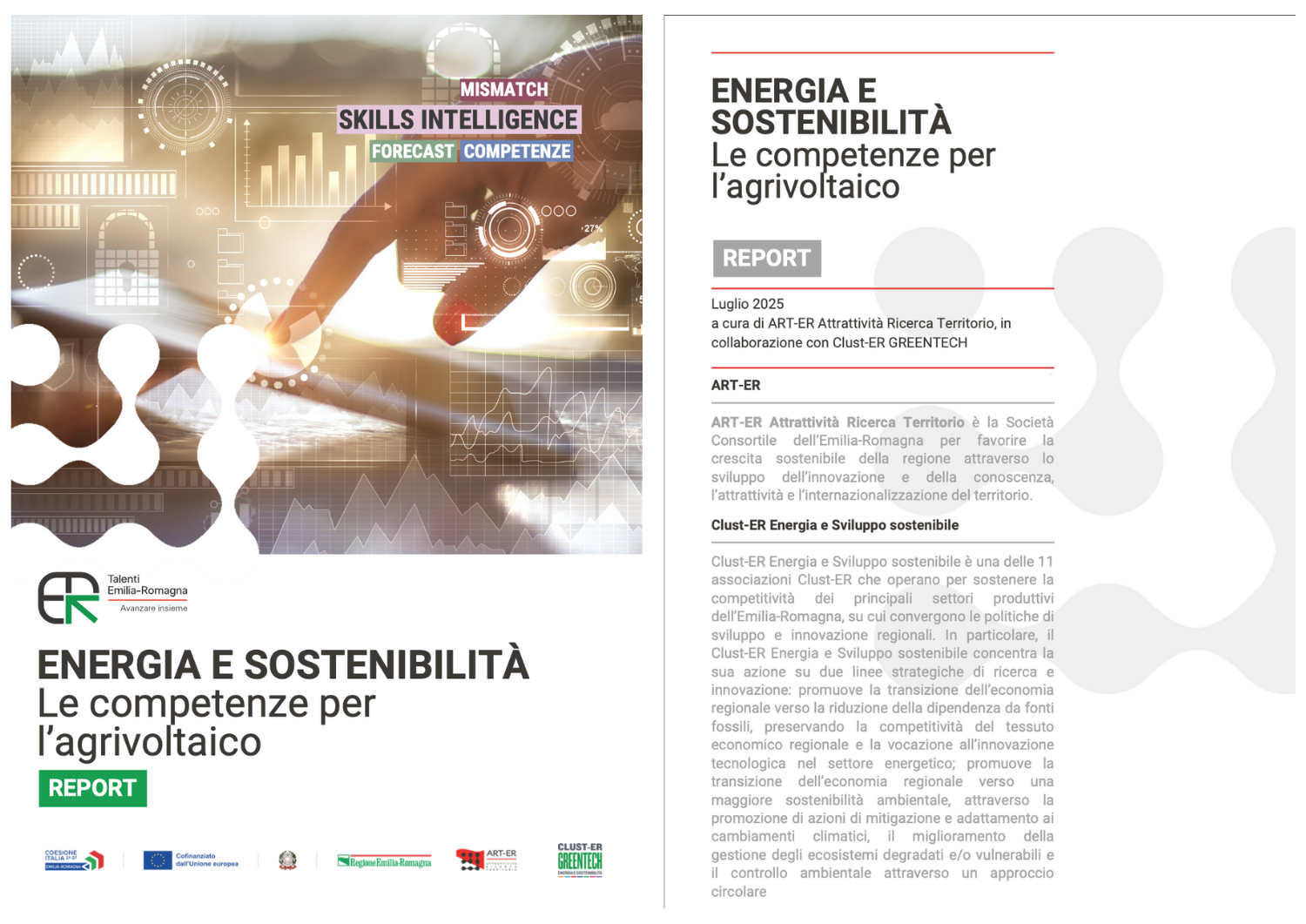 skills intelligence agrivoltaico